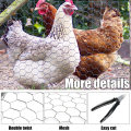Оптовая высококачественная гексагональная проволочная сетка кролика сетки с сетью из курицы